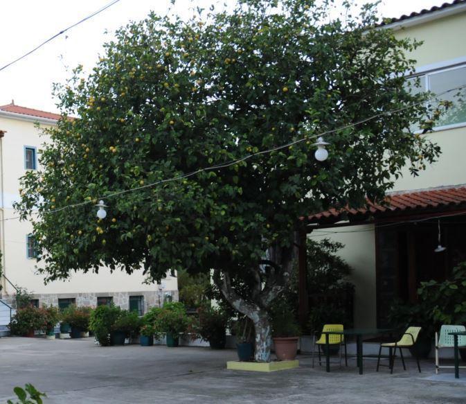 Costa-Rini Hotel Leonídion Exterior foto